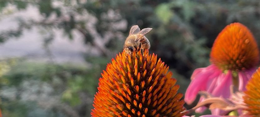 Wetterdaten: Rückblick Sommer & August `25